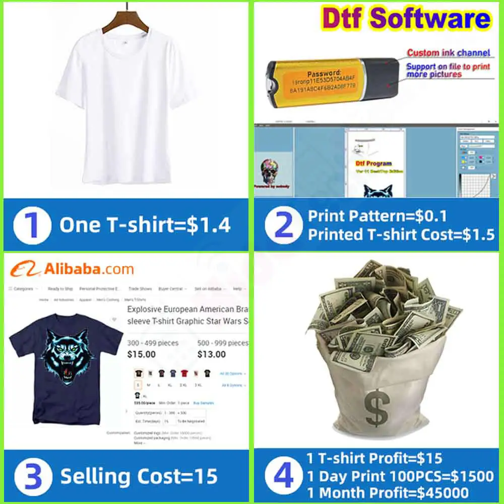 P600 DTF Continuous Ink Supply - đánh giá và giá Color Rip Software Dongle